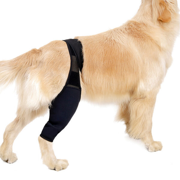 Dog Leg Support Brace Joint Wrap Injury Recovery Protector