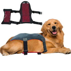 Cat Led Therapy Vest - 168 Leds 660&850Nm Wearable For Pain Relief