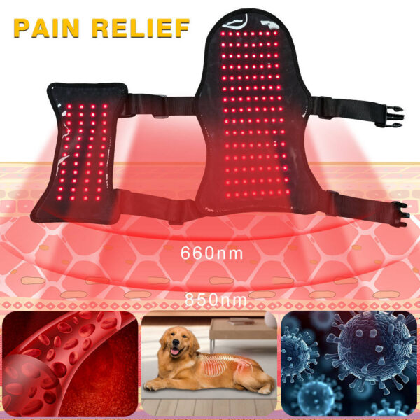1005011888249982_2 Cat Led Therapy Vest - 168 Leds 660&850Nm Wearable For Pain Relief