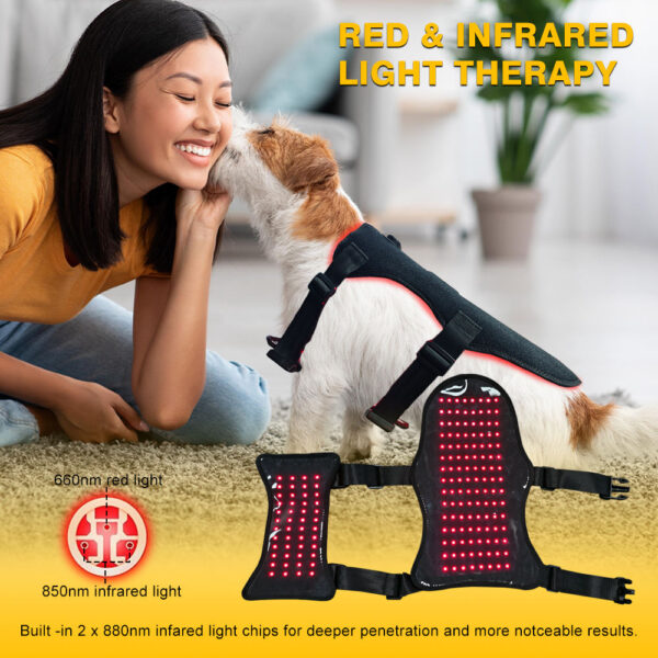 1005011888249982_3 Cat Led Therapy Vest - 168 Leds 660&850Nm Wearable For Pain Relief