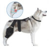 1005012096888365_0 Dog Hind Leg Knee Brace Joint Support Pet Rehabilitation Leg Wrap Aid