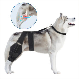 1005012096888365_0 Dog Hind Leg Knee Brace Joint Support Pet Rehabilitation Leg Wrap Aid