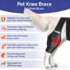 1005012096888365_2 Dog Hind Leg Knee Brace Joint Support Pet Rehabilitation Leg Wrap Aid