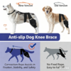 1005012096888365_3 Dog Hind Leg Knee Brace Joint Support Pet Rehabilitation Leg Wrap Aid