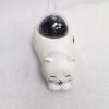 1005012108393975_2 Ambience, Featuring A White Noise Sleep Aid Function, Cat-Themed Projec