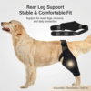 Adjustable Dog Hind Leg Protector Wrap Recovery Sleeve For Arthritis