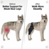 Adjustable Dog Hind Leg Protector Wrap Recovery Sleeve For Arthritis