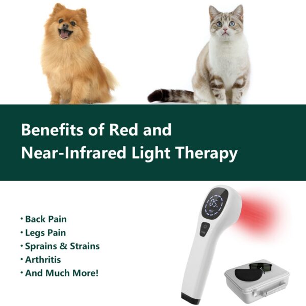 4X808Nm Pet Red Light Therapy Device Cold Laser 12X650Nm Infrared Veterinary
