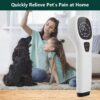 4X808Nm Pet Red Light Therapy Device Cold Laser 12X650Nm Infrared Veterinary