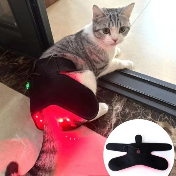 1005012320801605_3 Automatic Timing Pet Red Light Recovery Device Circulation Relieve Discomfort Dog