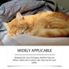 1005012403092168_3 45Ml Cat Calming Pheromone Diffuser Kit Relieves Anxiety Soothing Comforting