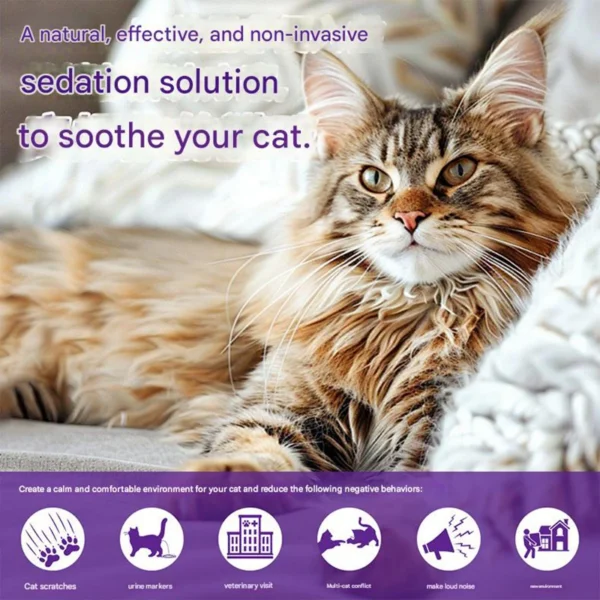 1005012524034258_1 Electric Pet Calming Diffuser With Pheromone Refill