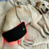 1005012621232379_0 Veterinary Red Light Led Therapy Physiotherapy Equipment For Pet Dog Pain Relief
