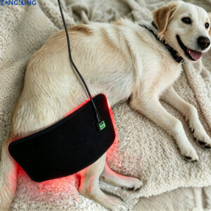 1005012621232379_0 Veterinary Red Light Led Therapy Physiotherapy Equipment For Pet Dog Pain Relief