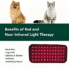 1005012621232379_2 Veterinary Red Light Led Therapy Physiotherapy Equipment For Pet Dog Pain Relief