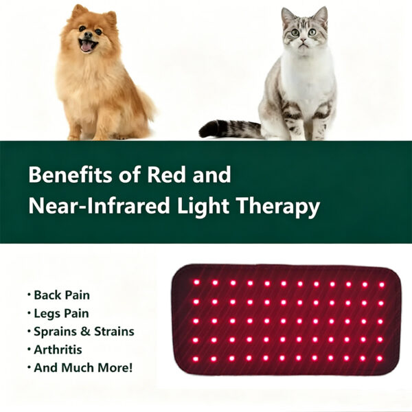 1005012621232379_2 Veterinary Red Light Led Therapy Physiotherapy Equipment For Pet Dog Pain Relief