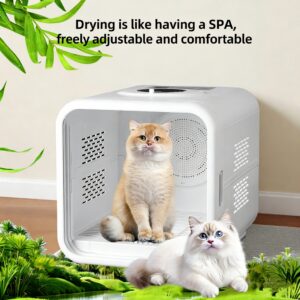 1005012745809028_0 Low Noise Blower Portable Pet Hair Dryer Machine Adjustable Temperature