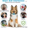Sound Stop Barking Device Humane Bark Control For All Dogs