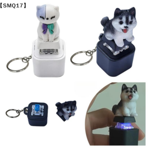 1005012853560109_0 Clicker Fidget Toys Sound Keychain With Led For Stress Relief