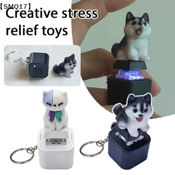 1005012853560109_1 Clicker Fidget Toys Sound Keychain With Led For Stress Relief