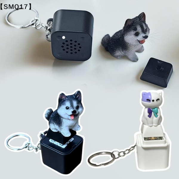1005012853560109_2 Clicker Fidget Toys Sound Keychain With Led For Stress Relief
