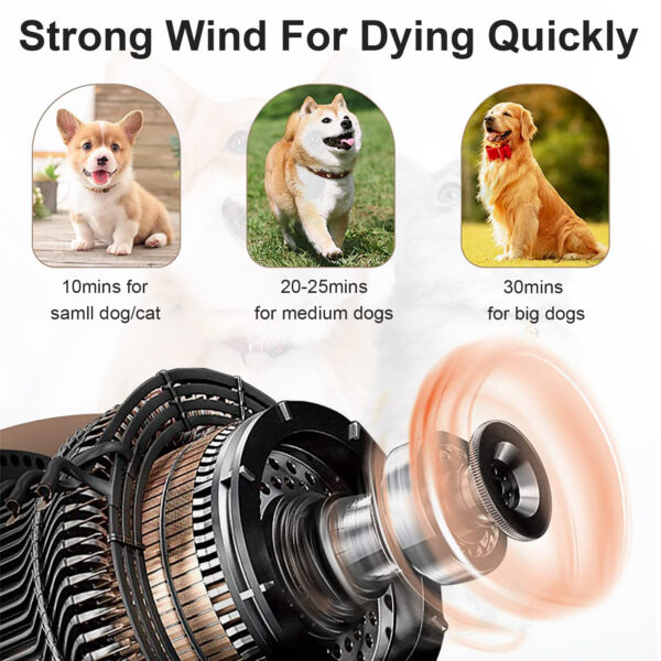 Professional Pet Hair Dryer With 2.3M Extendable Hose 3 Nozzles Free Shipping