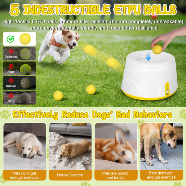 1005013010840141_3 Tennis Ball Thrower With 5 Etpu Balls-Long-Lasting, Interactive Dog Toy Free Shipping
