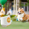 1005013037919863_1 Small Medium Dogs With 3 Tennis Balls And Data Cable Free Shipping